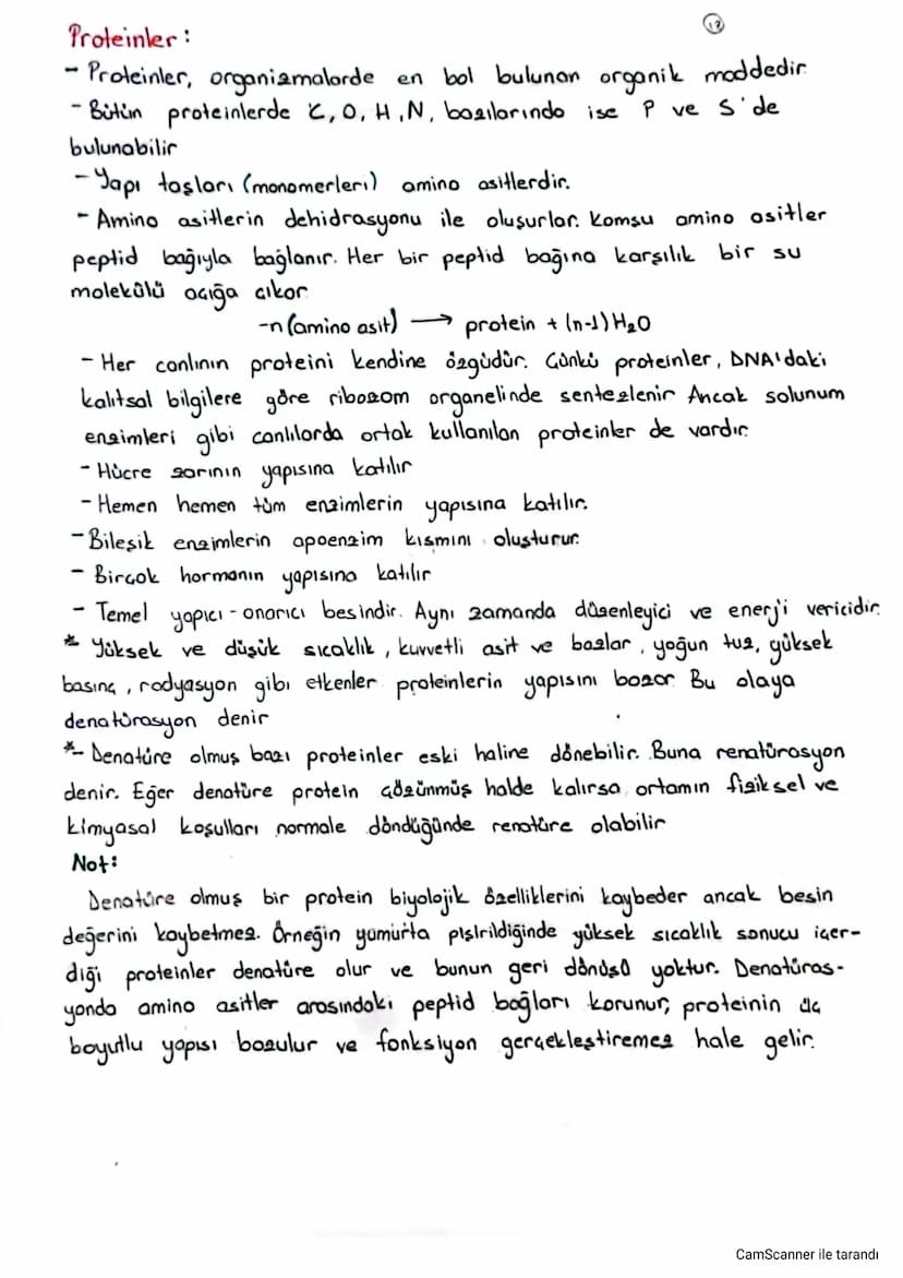 Proteinler:
- Proteinler, organizmalorde en bol bulunan organik moddedir.
- Bütün proteinlerde C, O, H,N, bazılarında ise
bulunabilir
-Yapı 