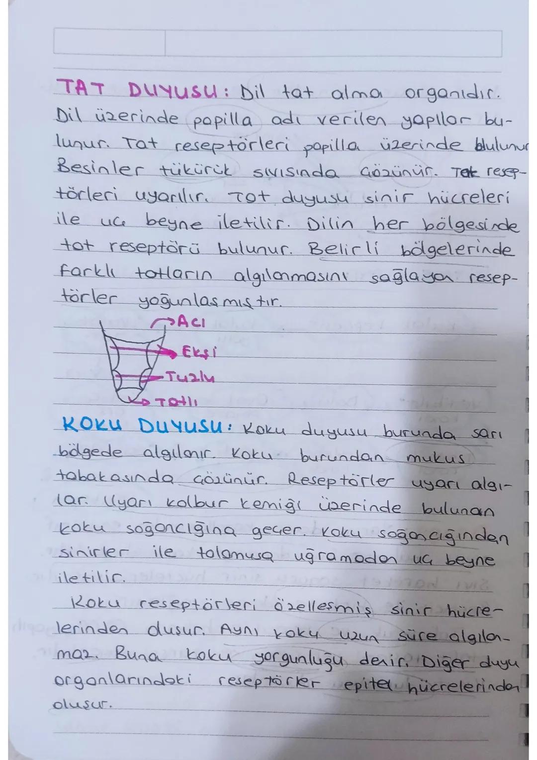 Dis kulok
üzere üç kısımdan oluşur.
→Kulak
kepaesi
KULAK: işitme ve denge organıdır.
-
Orta kulok - iç kulok olmak
yartm
doire
Korollari
kul