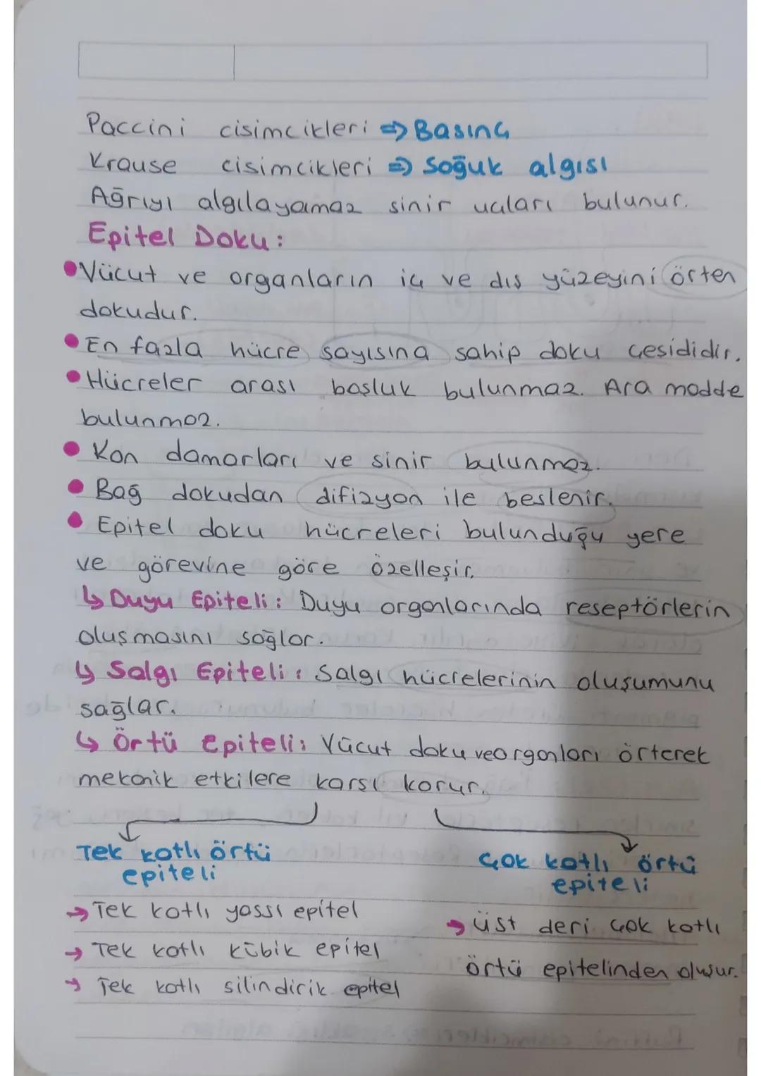 Dis kulok
üzere üç kısımdan oluşur.
→Kulak
kepaesi
KULAK: işitme ve denge organıdır.
-
Orta kulok - iç kulok olmak
yartm
doire
Korollari
kul