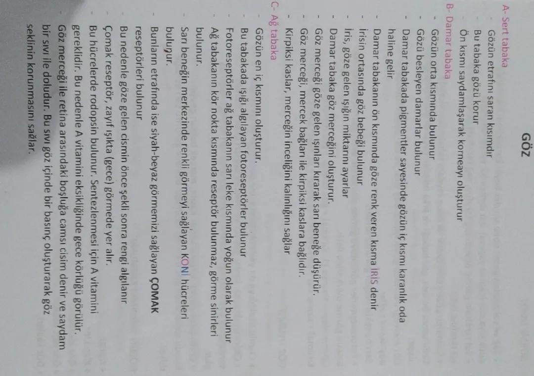 11. Sınıf biyoloji göz 