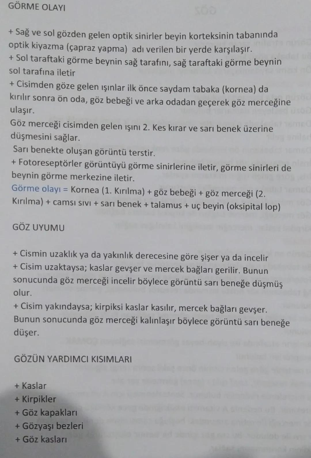 GÖZ
A- Sert tabaka
Gözün etrafını saran kısımdır
Bu tabaka gözü korur
Ön kısmı saydamlaşarak korneayı oluşturur
B-Damar tabaka
-
-
Gözün ort