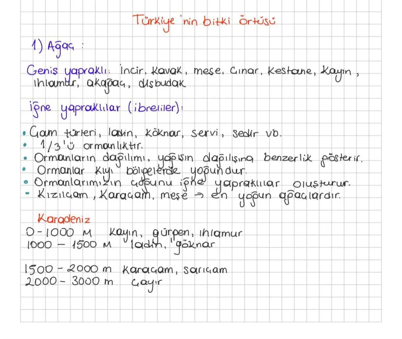 1) Ağaç
Türkiye nin bitki örtüsü
Geniş yapraklı incir, Kavak, mese, Cinar, Kestane, Kayin,
Ihlamur, akapaç, disbudak.
iğne yapraklılar (ibre