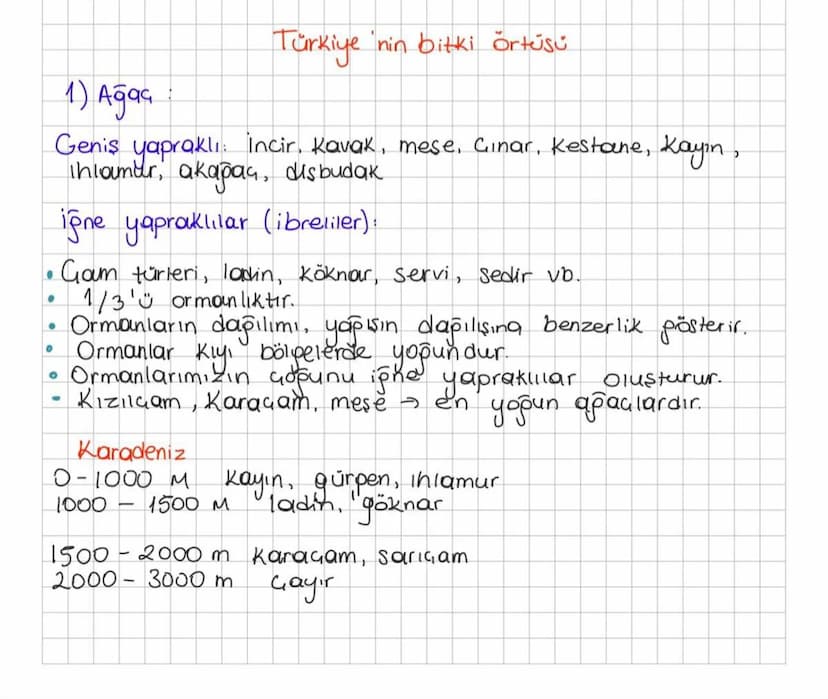 1) Ağaç
Türkiye nin bitki örtüsü
Geniş yapraklı incir, Kavak, mese, Cinar, Kestane, Kayin,
Ihlamur, akapaç, disbudak.
iğne yapraklılar (ibre