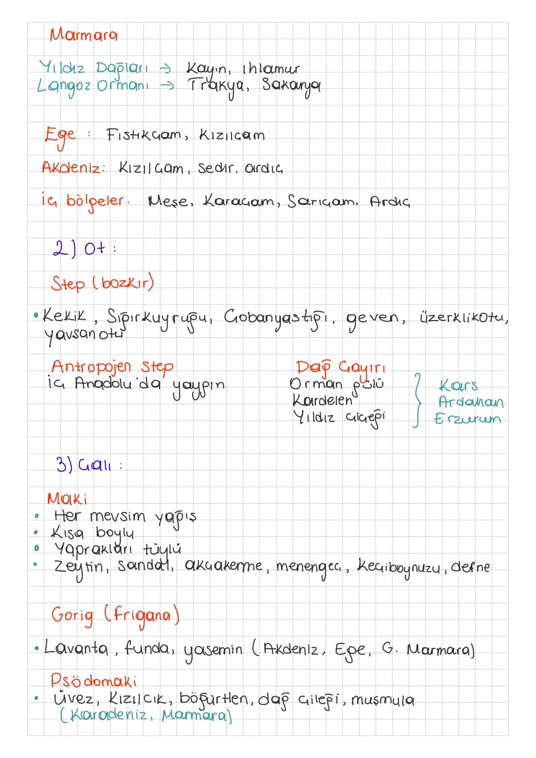 1) Ağaç
Türkiye nin bitki örtüsü
Geniş yapraklı incir, Kavak, mese, Cinar, Kestane, Kayin,
Ihlamur, akapaç, disbudak.
iğne yapraklılar (ibre