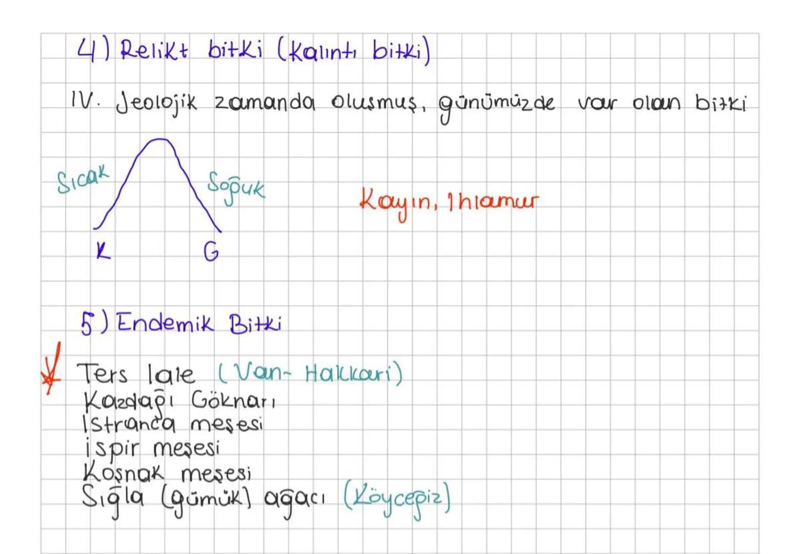 1) Ağaç
Türkiye nin bitki örtüsü
Geniş yapraklı incir, Kavak, mese, Cinar, Kestane, Kayin,
Ihlamur, akapaç, disbudak.
iğne yapraklılar (ibre