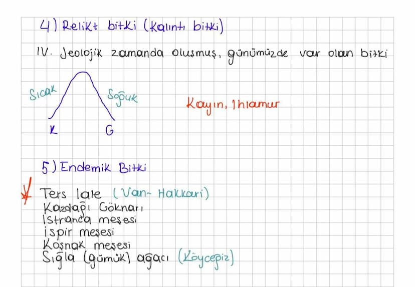 1) Ağaç
Türkiye nin bitki örtüsü
Geniş yapraklı incir, Kavak, mese, Cinar, Kestane, Kayin,
Ihlamur, akapaç, disbudak.
iğne yapraklılar (ibre