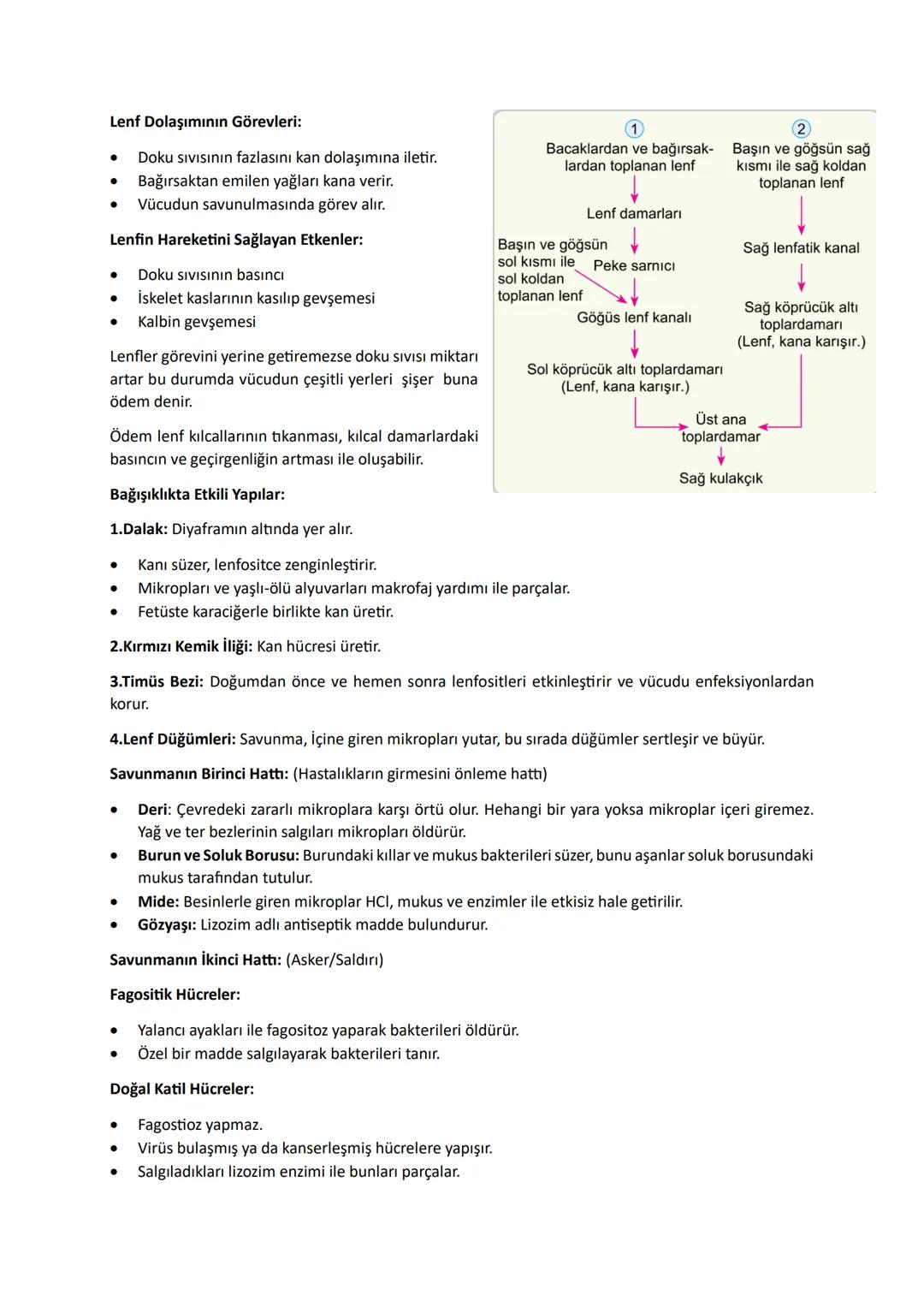 Mekanik (Fiziksel) Sindirim: Diş, Kas, Safra
Kimyasal Sindirim: Su ve enzimler
Hücre içi sindirim: Enzimler lizozom ve kofullarda pasif olar