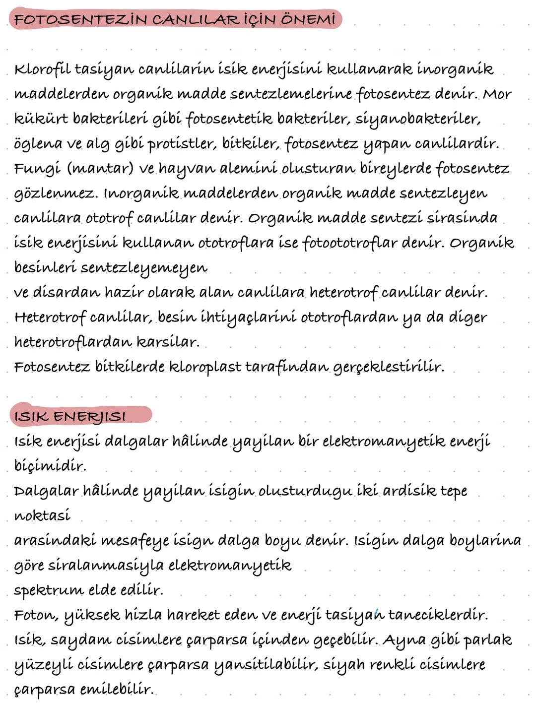 Fotosentez reaksiyonları 
