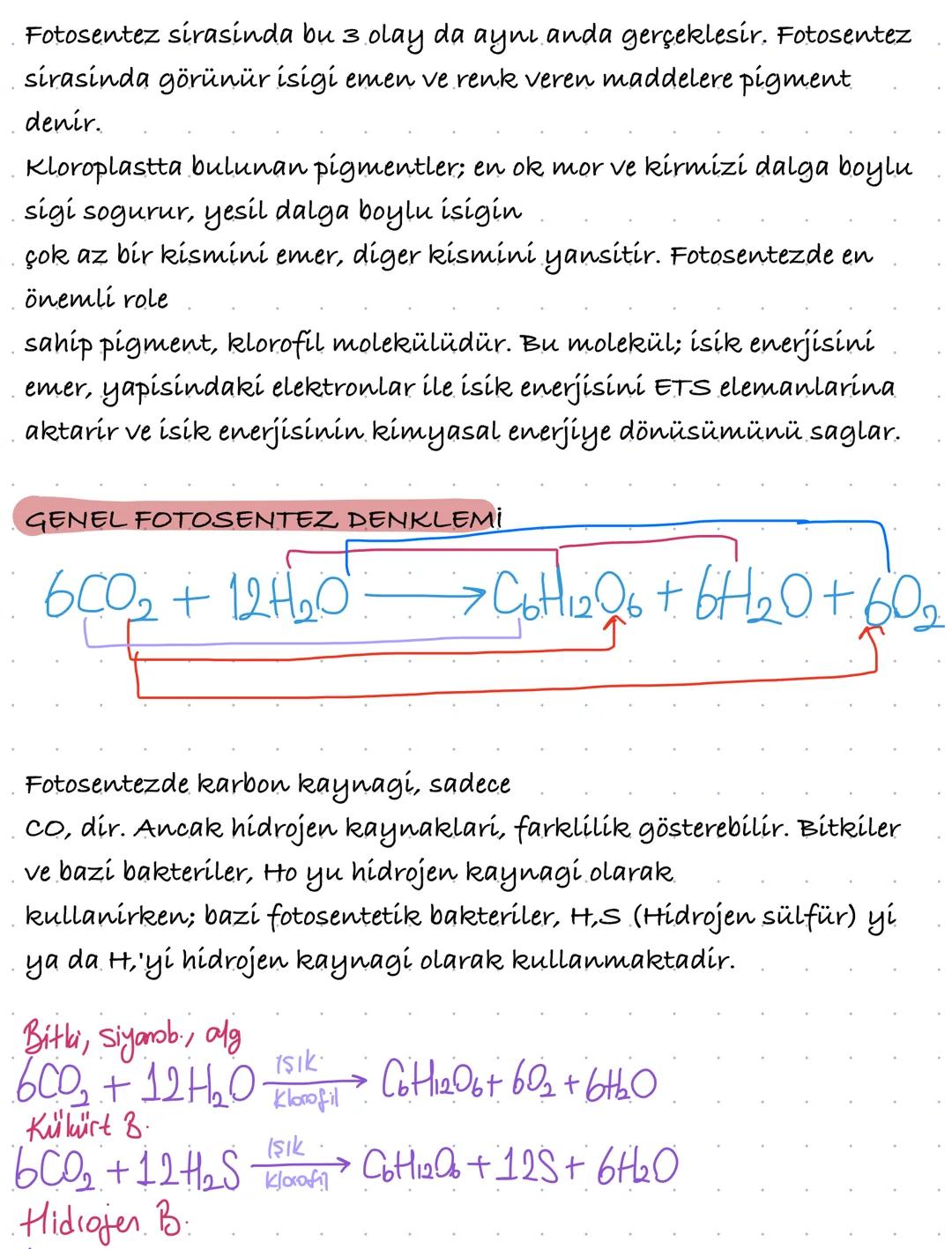 # FOTOSENTEZİN CANLILAR İÇİN ÖNEMİ

Klorofil tasiyan canlilarin isik enerjisini kullanarak inorganik
maddelerden organik madde sentezlemeler