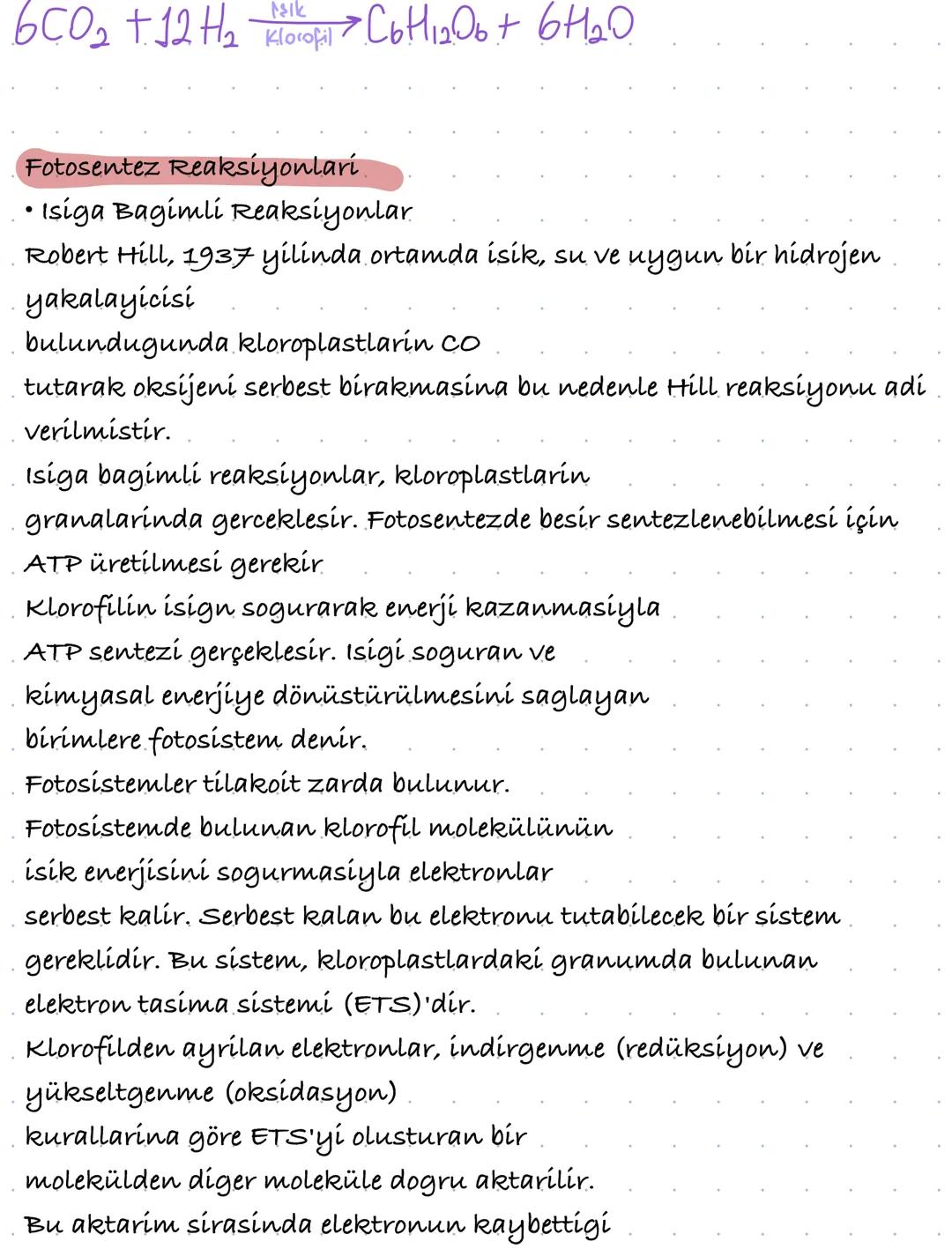 # FOTOSENTEZİN CANLILAR İÇİN ÖNEMİ

Klorofil tasiyan canlilarin isik enerjisini kullanarak inorganik
maddelerden organik madde sentezlemeler