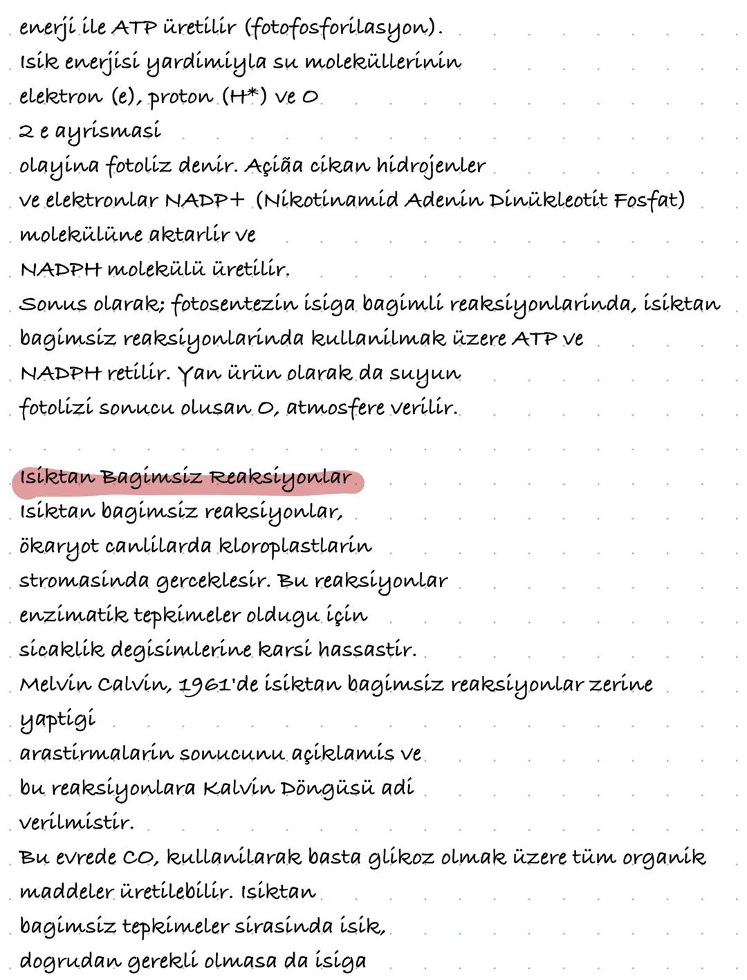 # FOTOSENTEZİN CANLILAR İÇİN ÖNEMİ

Klorofil tasiyan canlilarin isik enerjisini kullanarak inorganik
maddelerden organik madde sentezlemeler