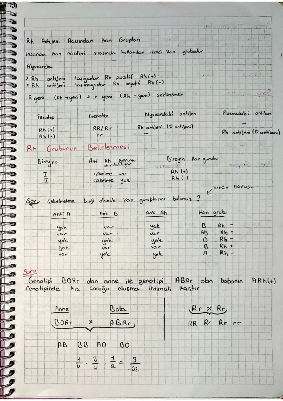 Fenotip
(Kan gurubu)
A
B
AB
0
Genotip
AA/AO
BB BO
AB
100
Alyuvardaki AntiJen
aglotonejen)
A anteni
Bantilenik
Avel anteni
Plazmadaki
antiker