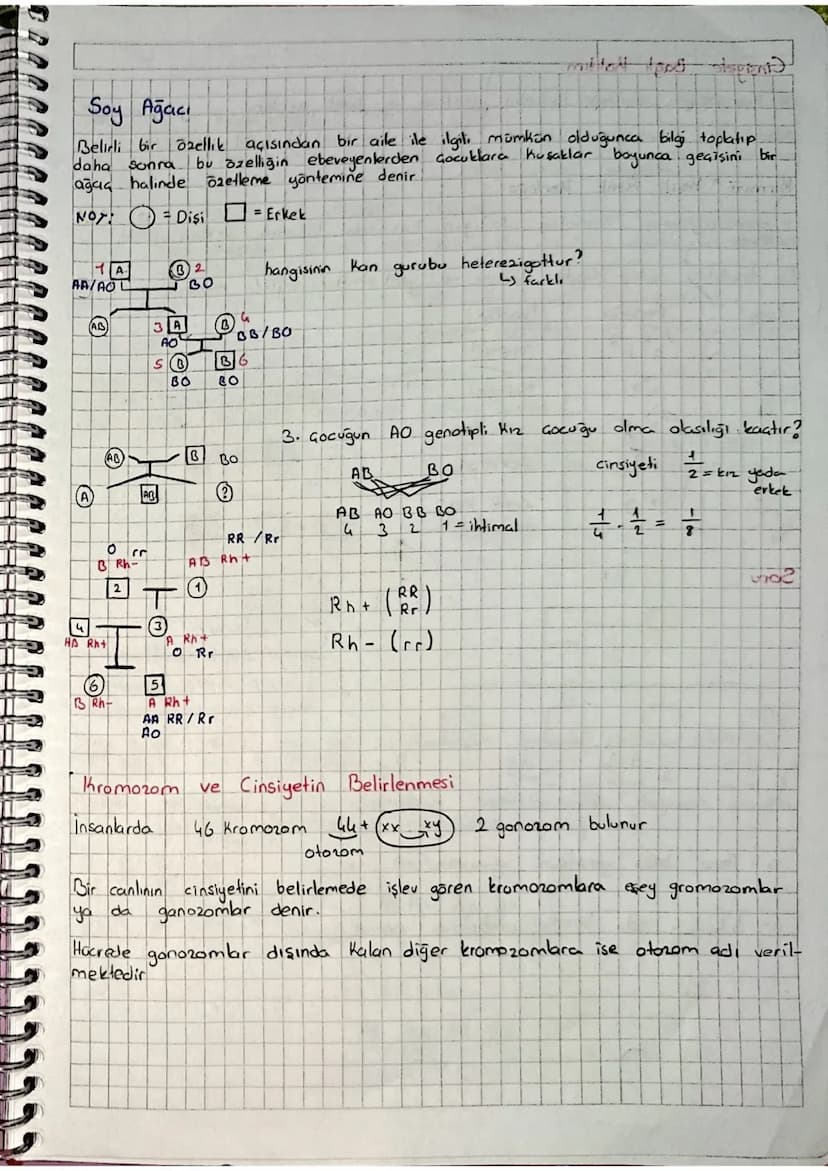 Fenotip
(Kan gurubu)
A
B
AB
0
Genotip
AA/AO
BB BO
AB
100
Alyuvardaki AntiJen
aglotonejen)
A anteni
Bantilenik
Avel anteni
Plazmadaki
antiker
