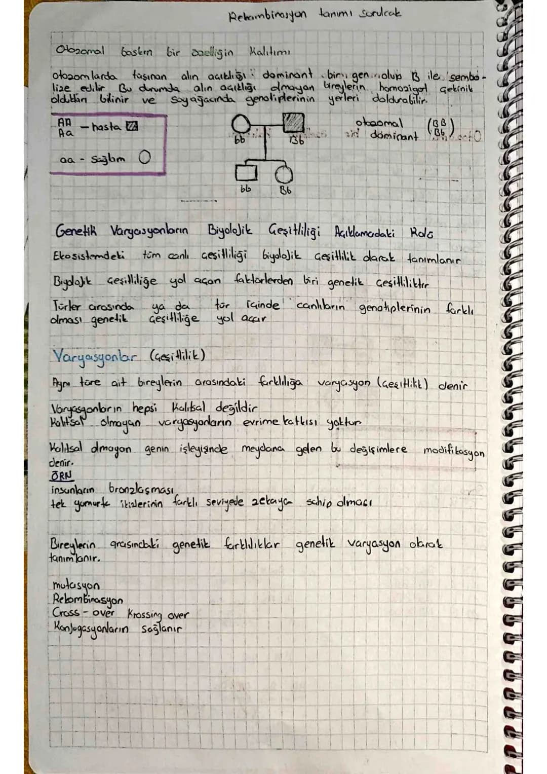 Fenotip
(Kan gurubu)
A
B
AB
0
Genotip
AA/AO
BB BO
AB
100
Alyuvardaki AntiJen
aglotonejen)
A anteni
Bantilenik
Avel anteni
Plazmadaki
antiker