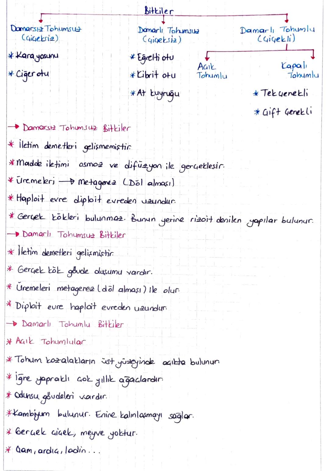 5. BİTKİLER
* Ökaryot
ve çok hücreli conlilardır.
* Fotosentez yaparlar. (ototrof beslenme)
* Depo polisakkariti
Nişasta
Toprağa bağlı yaşar