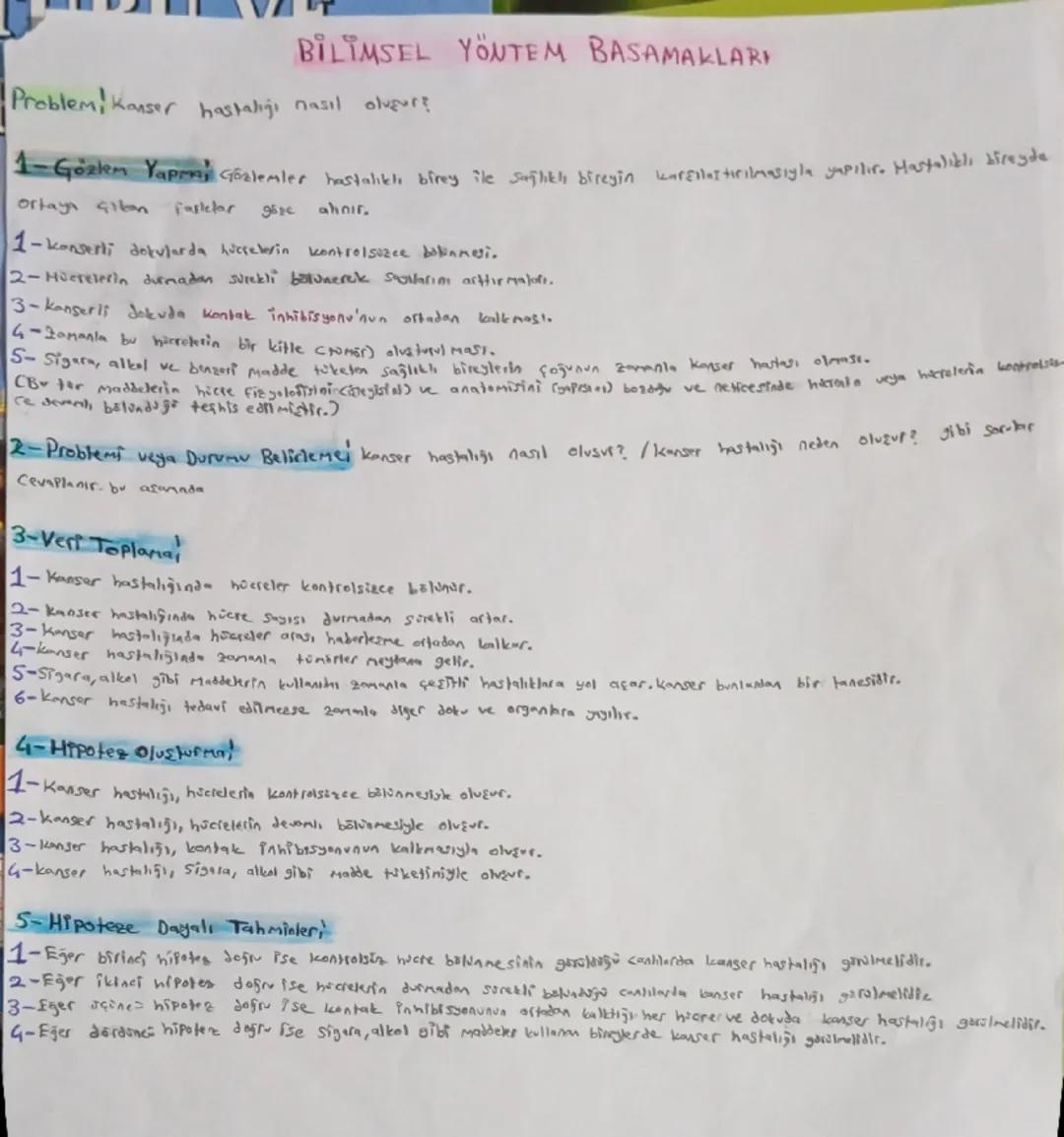 9.sınıf biyoloji bilimsem yöntem basamakları 1