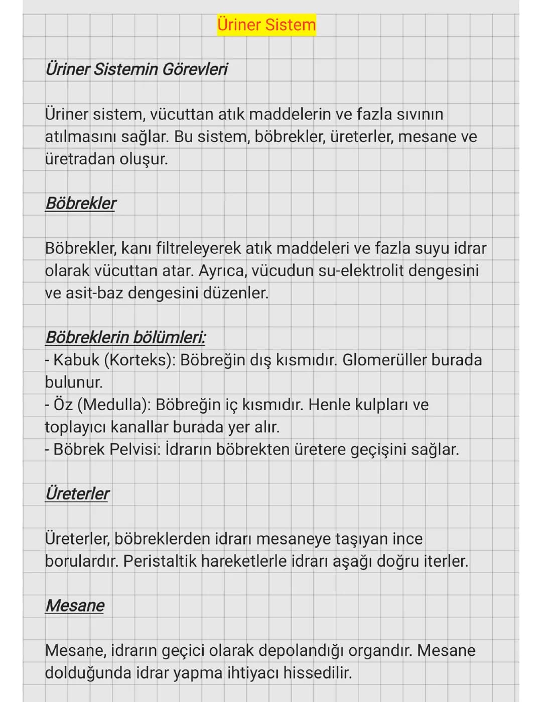 ÜRİNER SİSTEM 