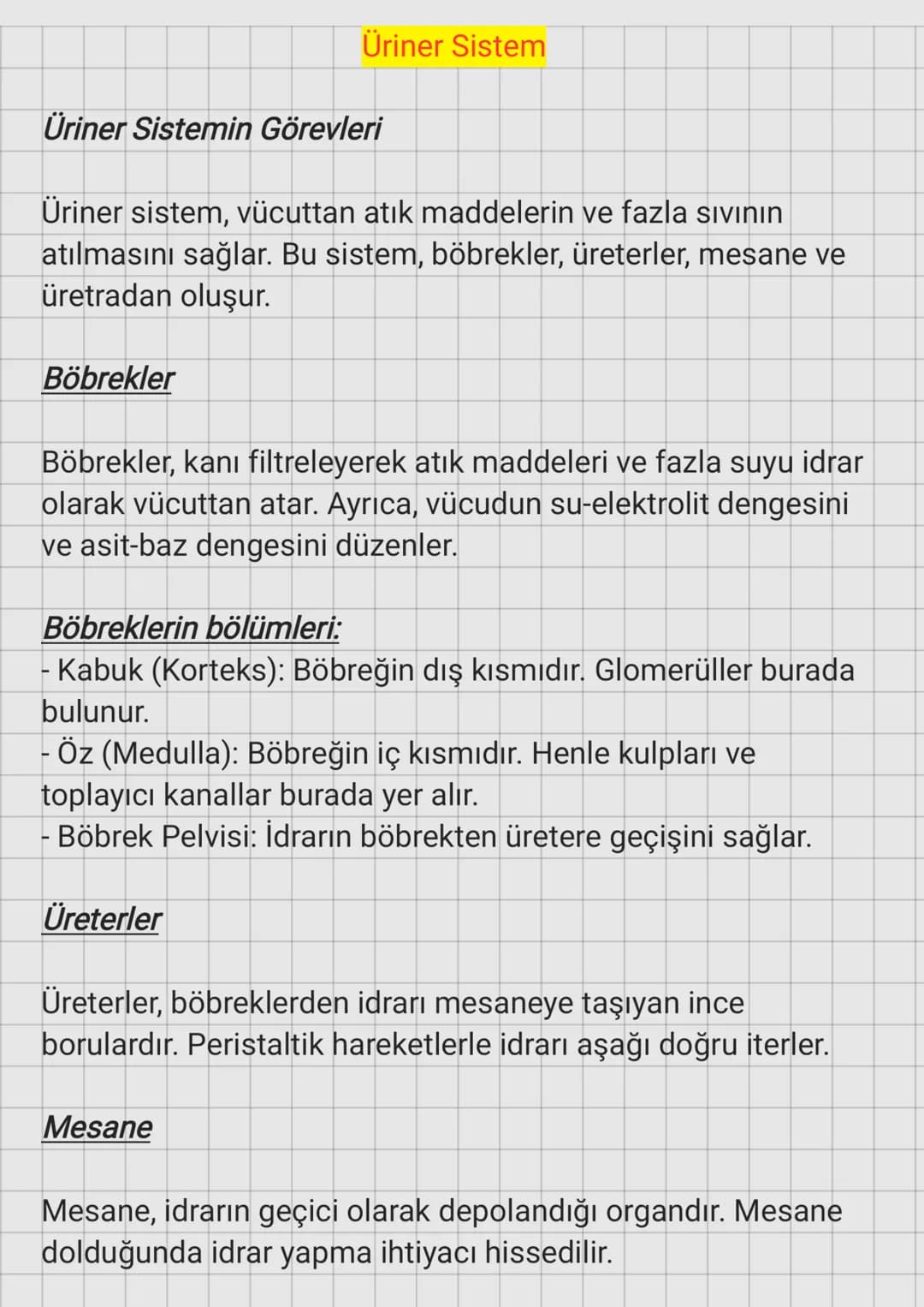 Üriner Sistem
Üriner Sistemin Görevleri
Üriner sistem, vücuttan atık maddelerin ve fazla sıvının
atılmasını sağlar. Bu sistem, böbrekler, ür