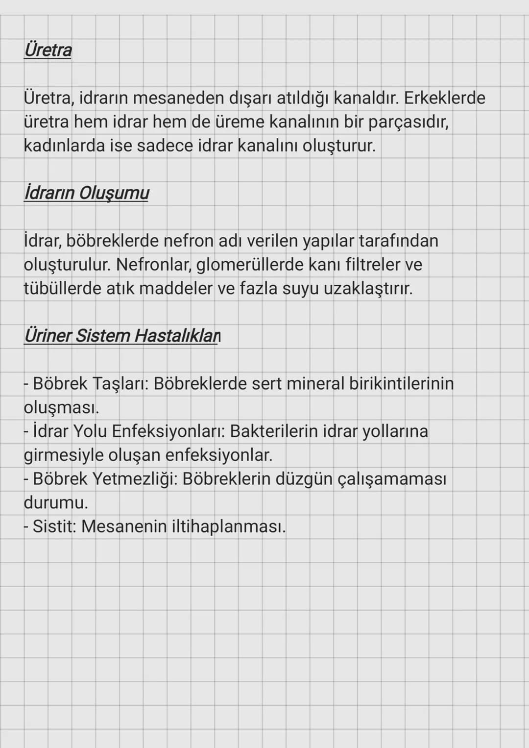 Üriner Sistem
Üriner Sistemin Görevleri
Üriner sistem, vücuttan atık maddelerin ve fazla sıvının
atılmasını sağlar. Bu sistem, böbrekler, ür