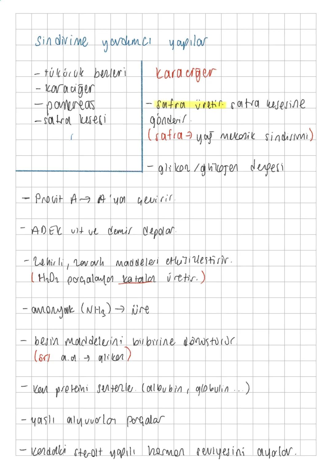 -
-
Sin divine yardımc
- tükörük berleri
- karaciğer
- pancreas
-safra kesesi
yapılar
kararger
- Safra üretir. ratra besesine
gönderil
(safr