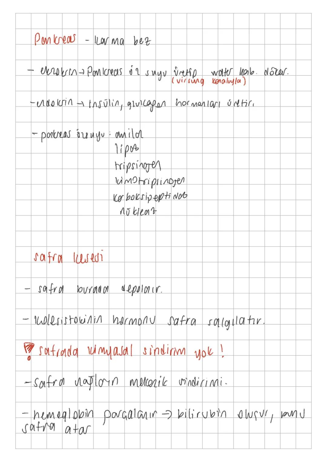 -
-
Sin divine yardımc
- tükörük berleri
- karaciğer
- pancreas
-safra kesesi
yapılar
kararger
- Safra üretir. ratra besesine
gönderil
(safr