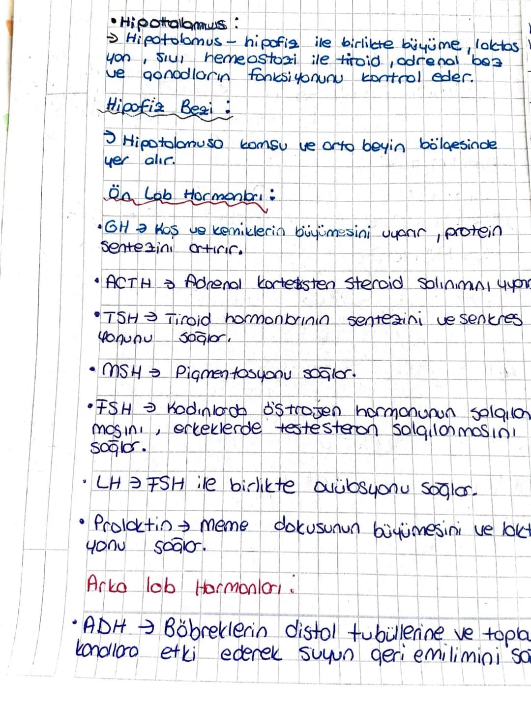 •Hipotalamus:
Hipotolomus - hipofiz ile birlikte büyüme, laktos.
you, เบ) heme ostozi ile tiroid, adrenal bez
ue gonodların fonksiyonunu kon