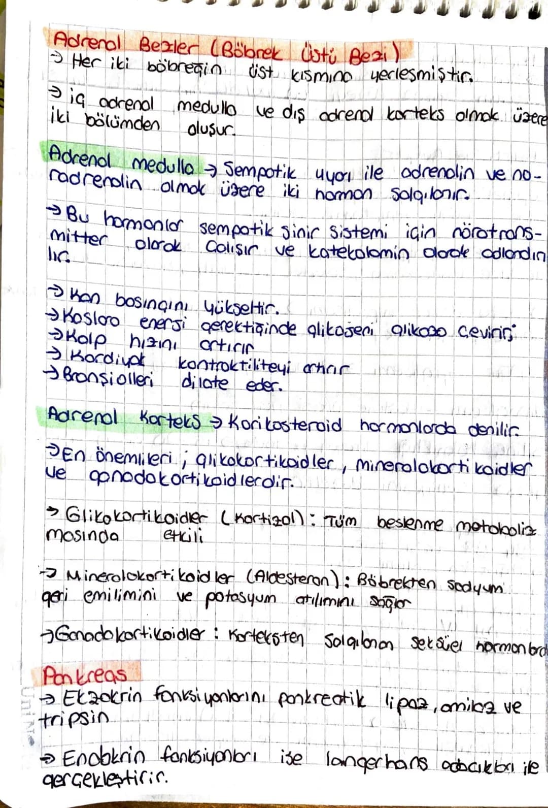 •Hipotalamus:
Hipotolomus - hipofiz ile birlikte büyüme, laktos.
you, เบ) heme ostozi ile tiroid, adrenal bez
ue gonodların fonksiyonunu kon