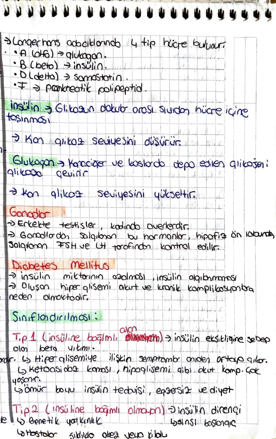 •Hipotalamus:
Hipotolomus - hipofiz ile birlikte büyüme, laktos.
you, เบ) heme ostozi ile tiroid, adrenal bez
ue gonodların fonksiyonunu kon