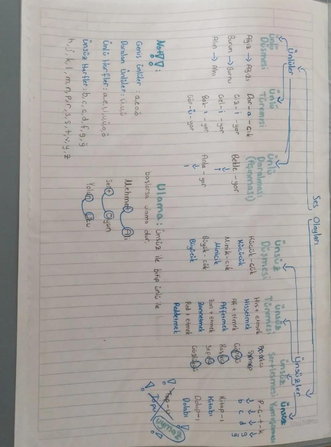 Ses Olayları

Ünlüler

Unlu
Ünlü
Ünsü
Ousmesi
Türemesi
Ağız Ağızı
Dar-a-cik
Daralması
(Aşınması)
Küçük-çük
Hissetmek
Küçücük
Giz-1-yor
Burun