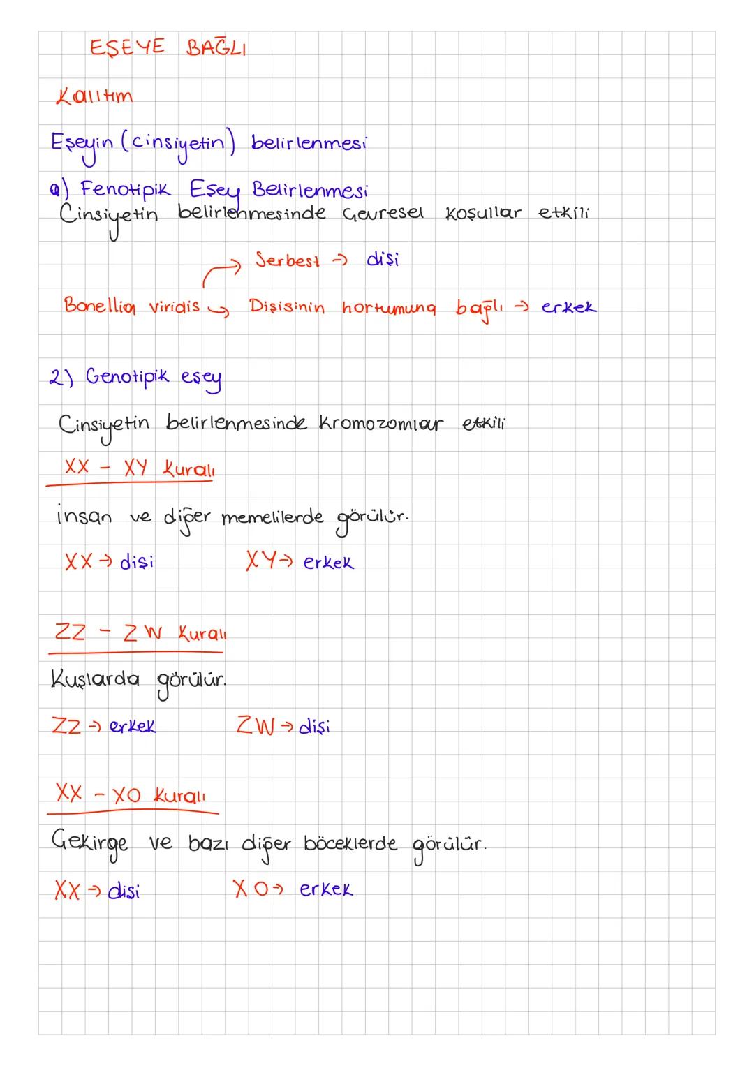 ESEYE BAĞLI
Lalltim
Eşeyin (cinsiyetin) belirlenmesi
a) Fenotipik Eşey Belirlenmesi
Cinsiyetin belirlenmesinde Gevresel
Serbest - dişi
Koşul