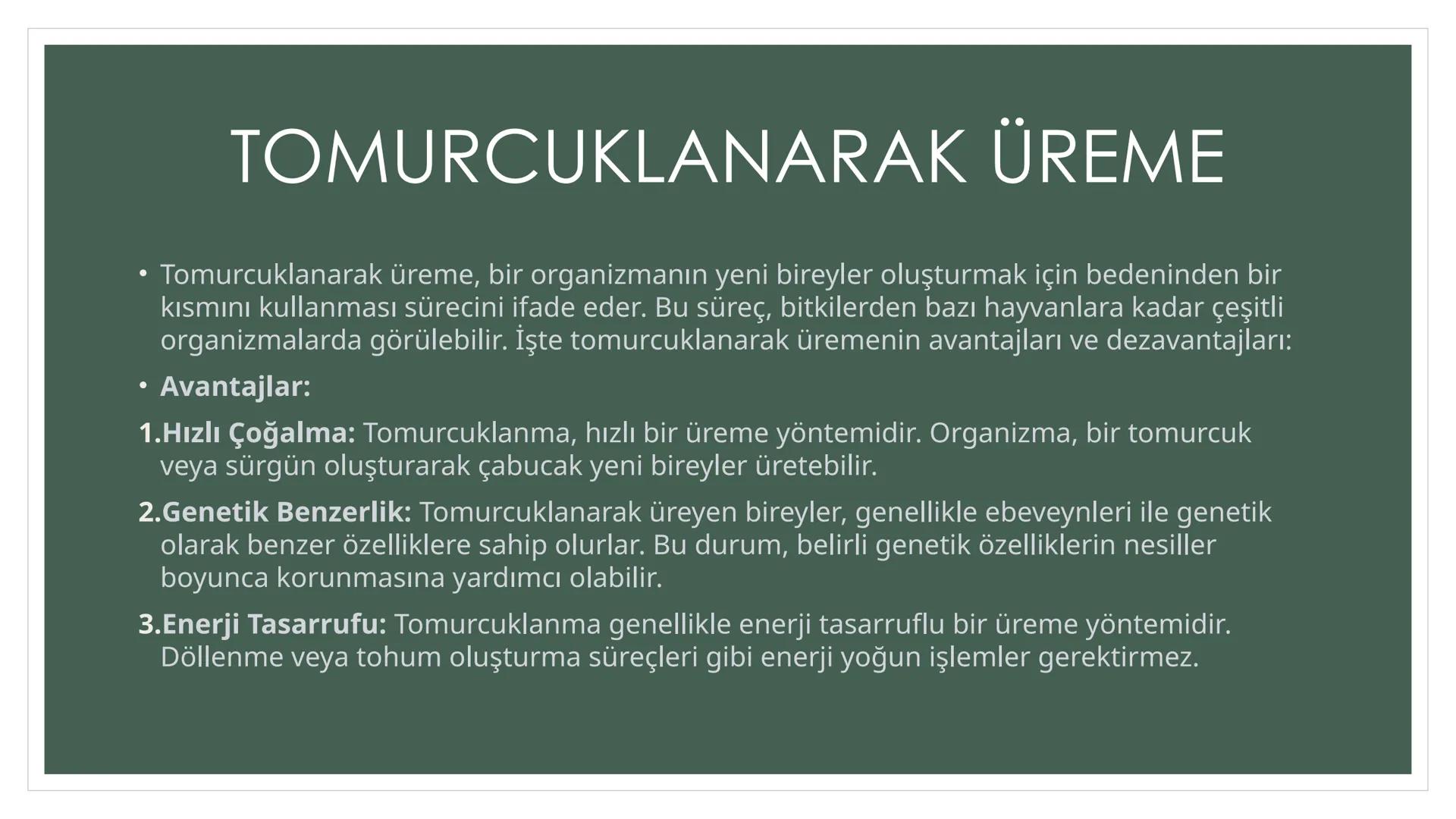 EŞEYSİZ ÜREME
YÖNTEMLERİNİN
CANLILAR
AÇISINDAN
AVANTAJ VE
DEZAVANTAJLARI EŞEYSİZ ÜREME ÇEŞİTLERİ
YUMRU GÖVDE
İLE ÜREME
VEJETATİF
ÜREME
SÜRÜN