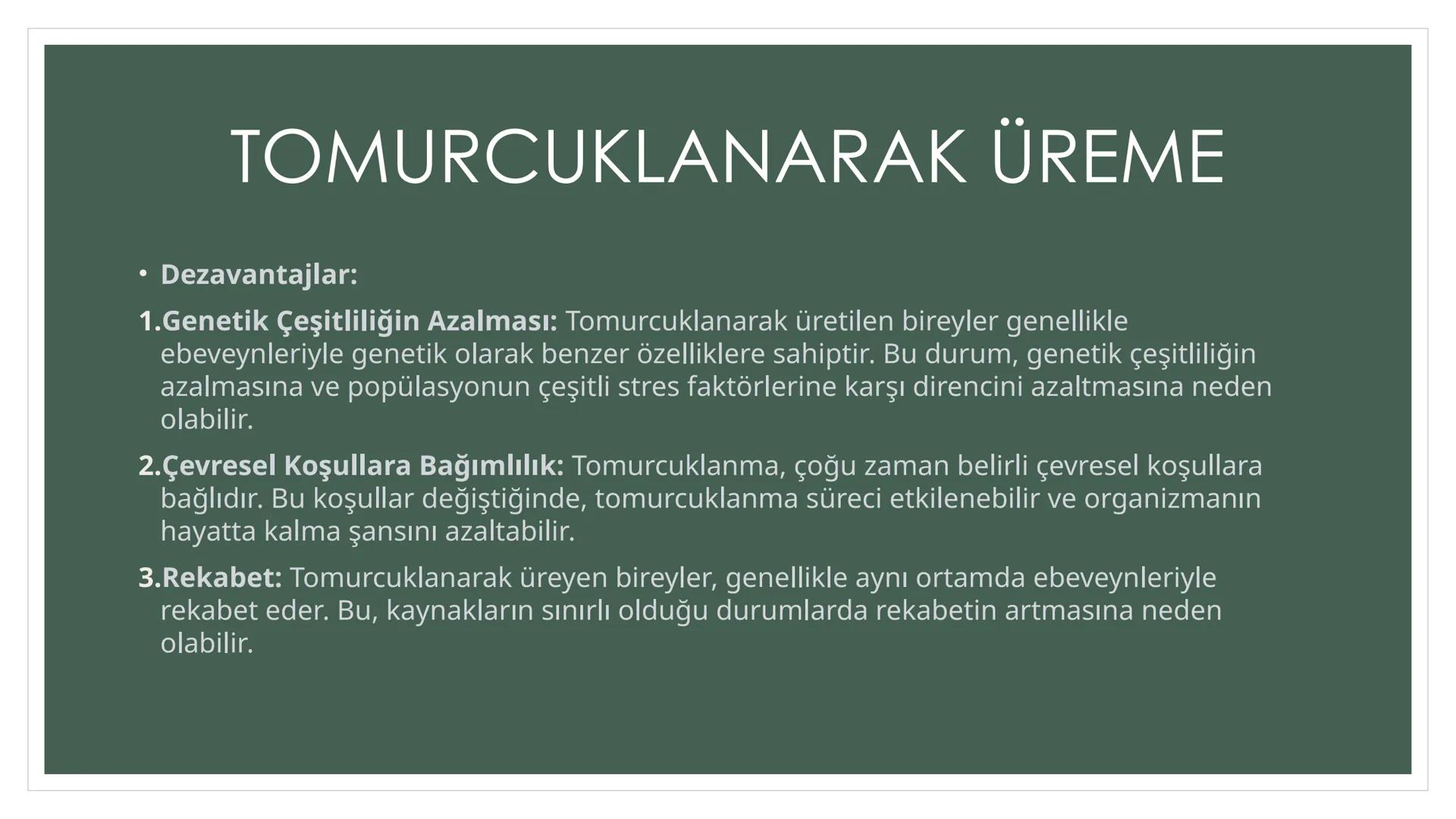 EŞEYSİZ ÜREME
YÖNTEMLERİNİN
CANLILAR
AÇISINDAN
AVANTAJ VE
DEZAVANTAJLARI EŞEYSİZ ÜREME ÇEŞİTLERİ
YUMRU GÖVDE
İLE ÜREME
VEJETATİF
ÜREME
SÜRÜN