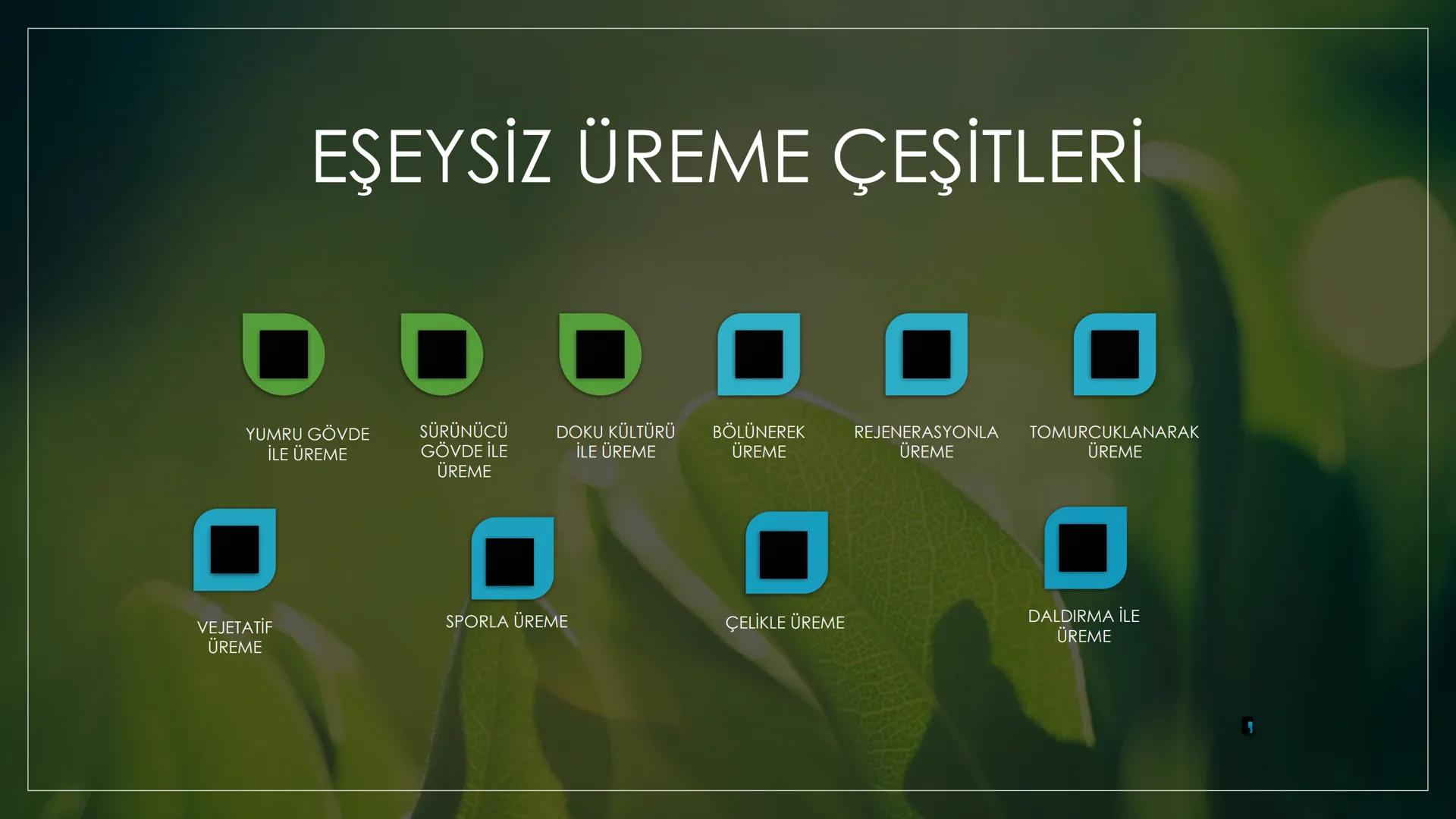 EŞEYSİZ ÜREME
YÖNTEMLERİNİN
CANLILAR
AÇISINDAN
AVANTAJ VE
DEZAVANTAJLARI EŞEYSİZ ÜREME ÇEŞİTLERİ
YUMRU GÖVDE
İLE ÜREME
VEJETATİF
ÜREME
SÜRÜN