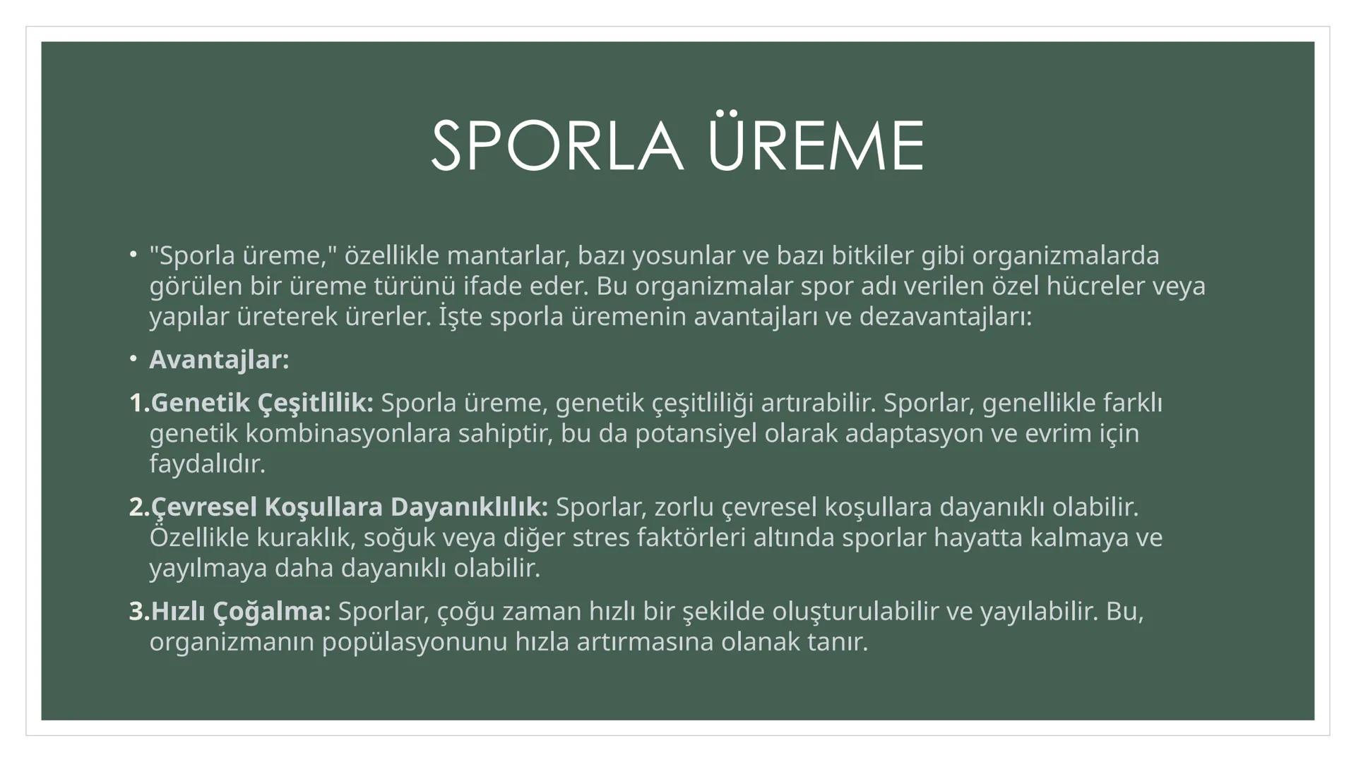 EŞEYSİZ ÜREME
YÖNTEMLERİNİN
CANLILAR
AÇISINDAN
AVANTAJ VE
DEZAVANTAJLARI EŞEYSİZ ÜREME ÇEŞİTLERİ
YUMRU GÖVDE
İLE ÜREME
VEJETATİF
ÜREME
SÜRÜN