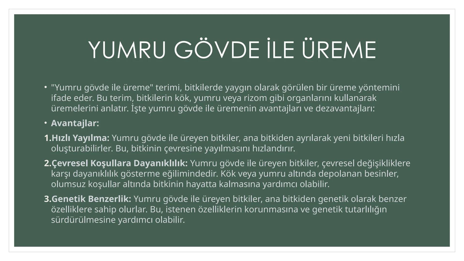 EŞEYSİZ ÜREME
YÖNTEMLERİNİN
CANLILAR
AÇISINDAN
AVANTAJ VE
DEZAVANTAJLARI EŞEYSİZ ÜREME ÇEŞİTLERİ
YUMRU GÖVDE
İLE ÜREME
VEJETATİF
ÜREME
SÜRÜN