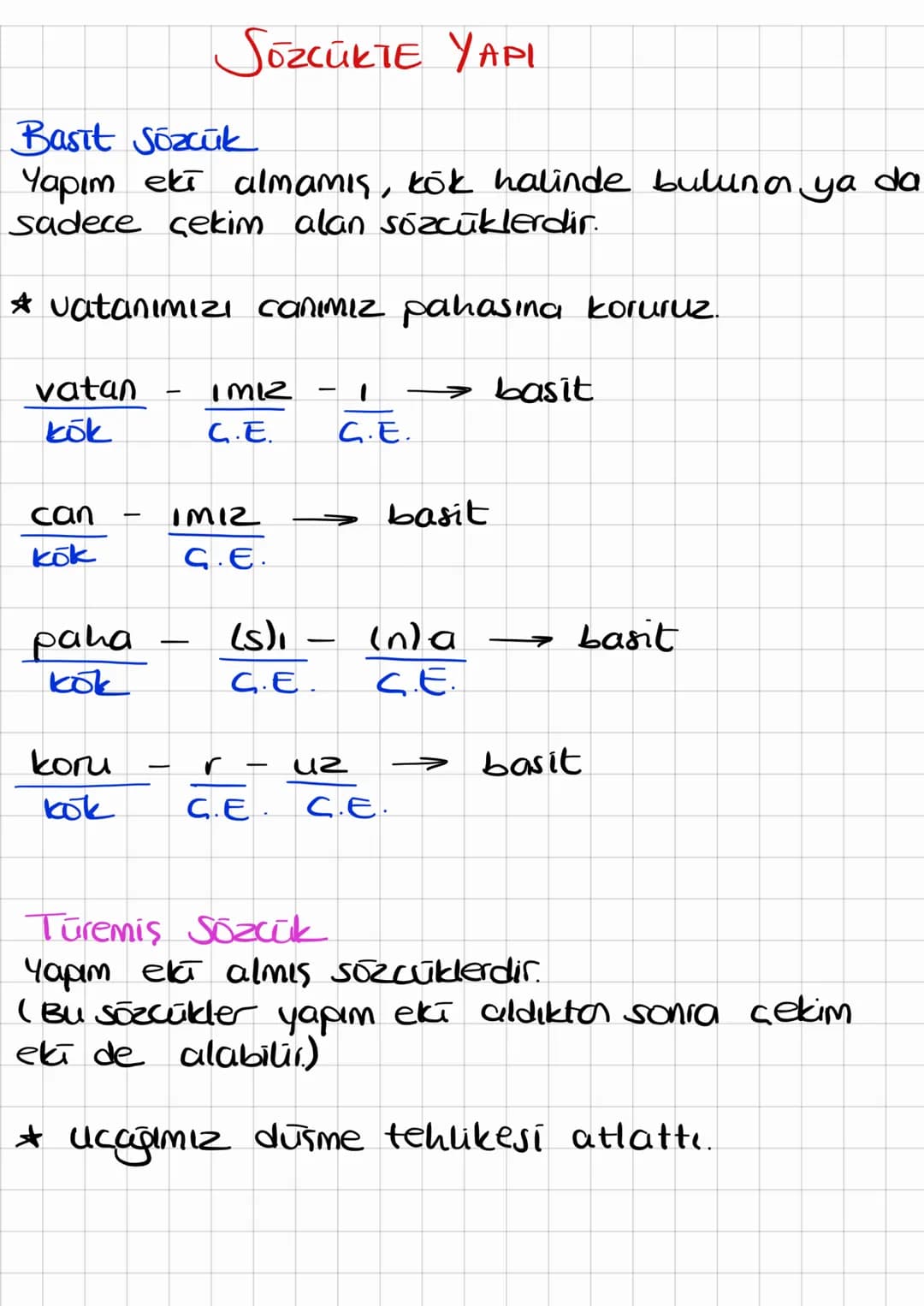 SözcükTE YAPI
Basit Sözcük
Yapım eki almamış, kök halinde bulunan ya da
sadece çekim alan sözcüklerdir.
* vatanımızı canımız pahasına koruru