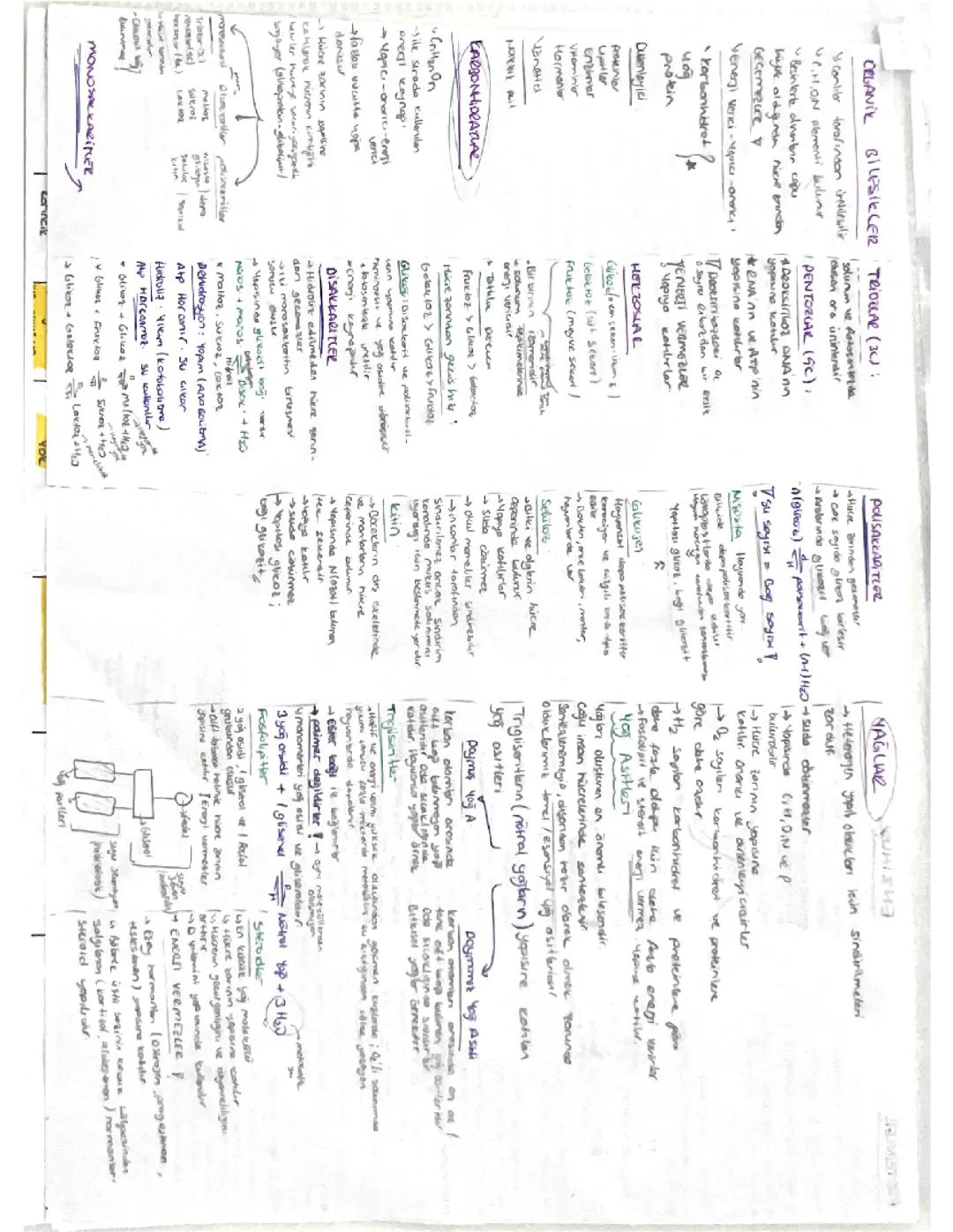 Tyt biyoloji organik bileşikler 