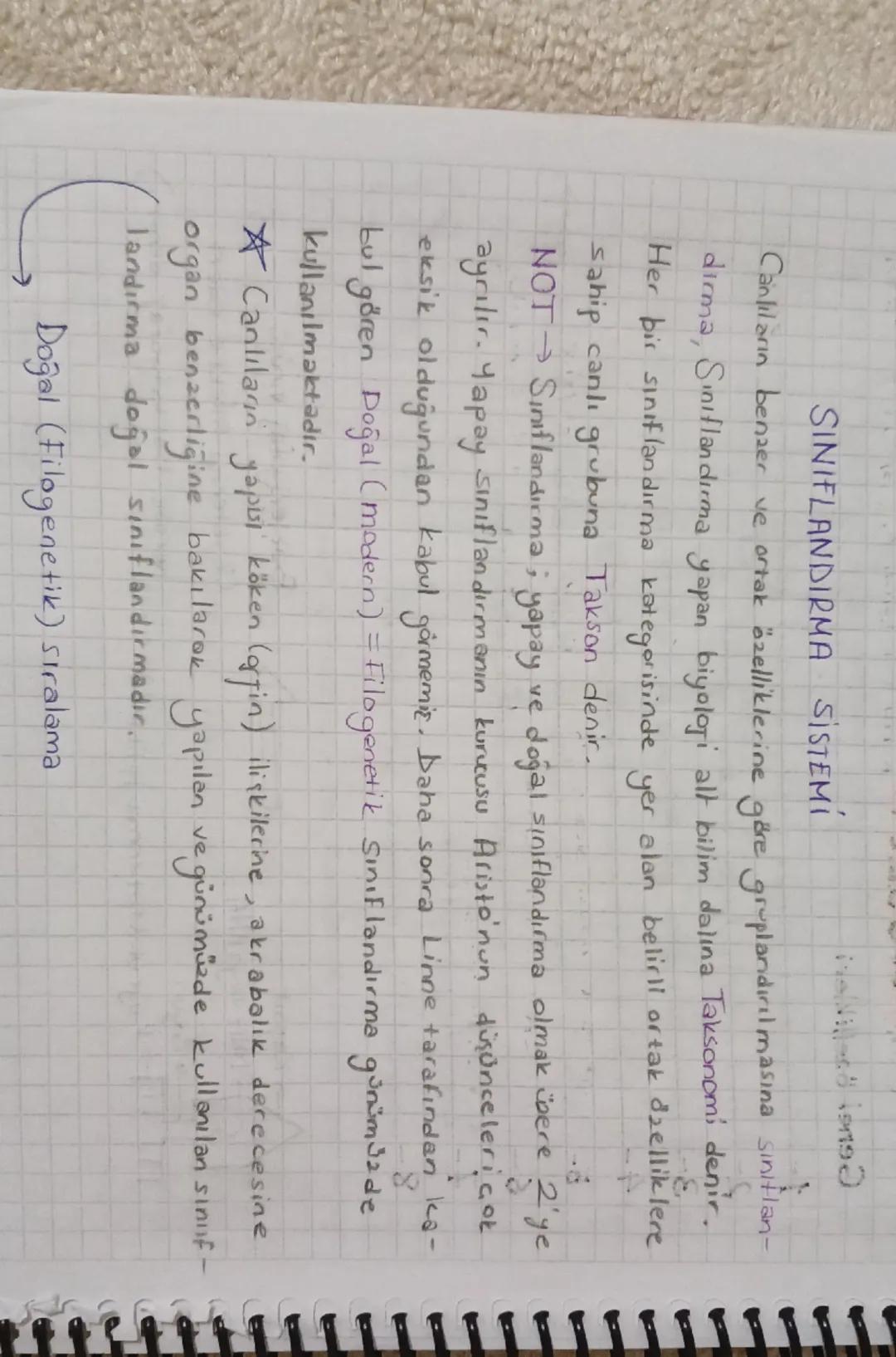 9.SINIF BİYOLOJİ SINIFLANDIRMA SİSTEMİ