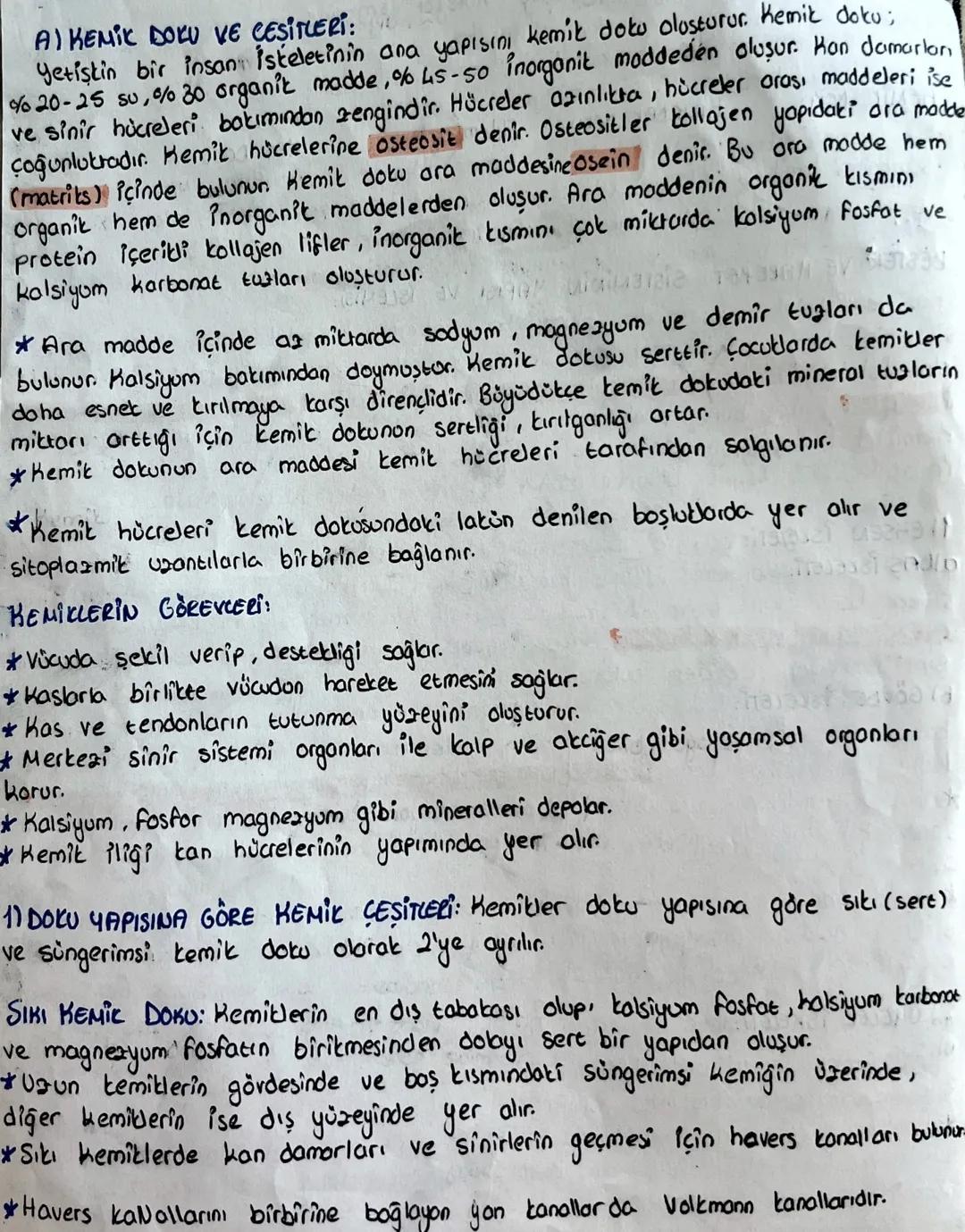 A) KEMIC DOLU VE CESITUERI:
Yetişkin bir insan isteletinin ana yapısını kemik doku oluşturur. Kemik doku;
% 20-25 su, % 30 organik madde, % 