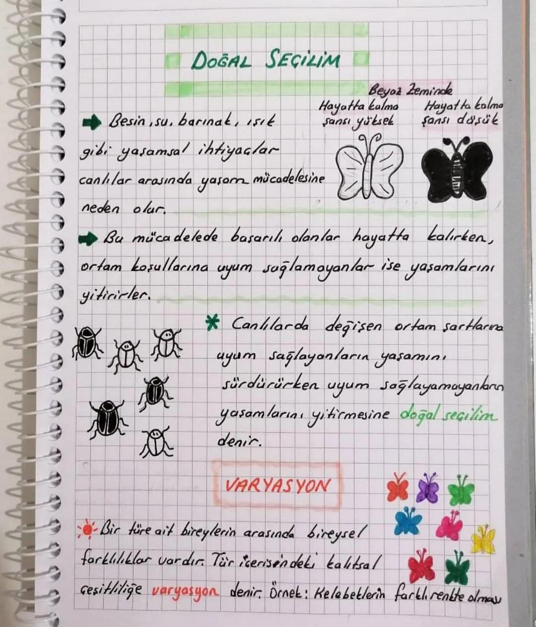 ADAPTASYON
(Gevreye Lyum)
Canlıların belirli çevre koşullarında yaşama ve üreme
Sansını arttıran kalıtsal özellikler kazanmasıdır.
* Adaptas