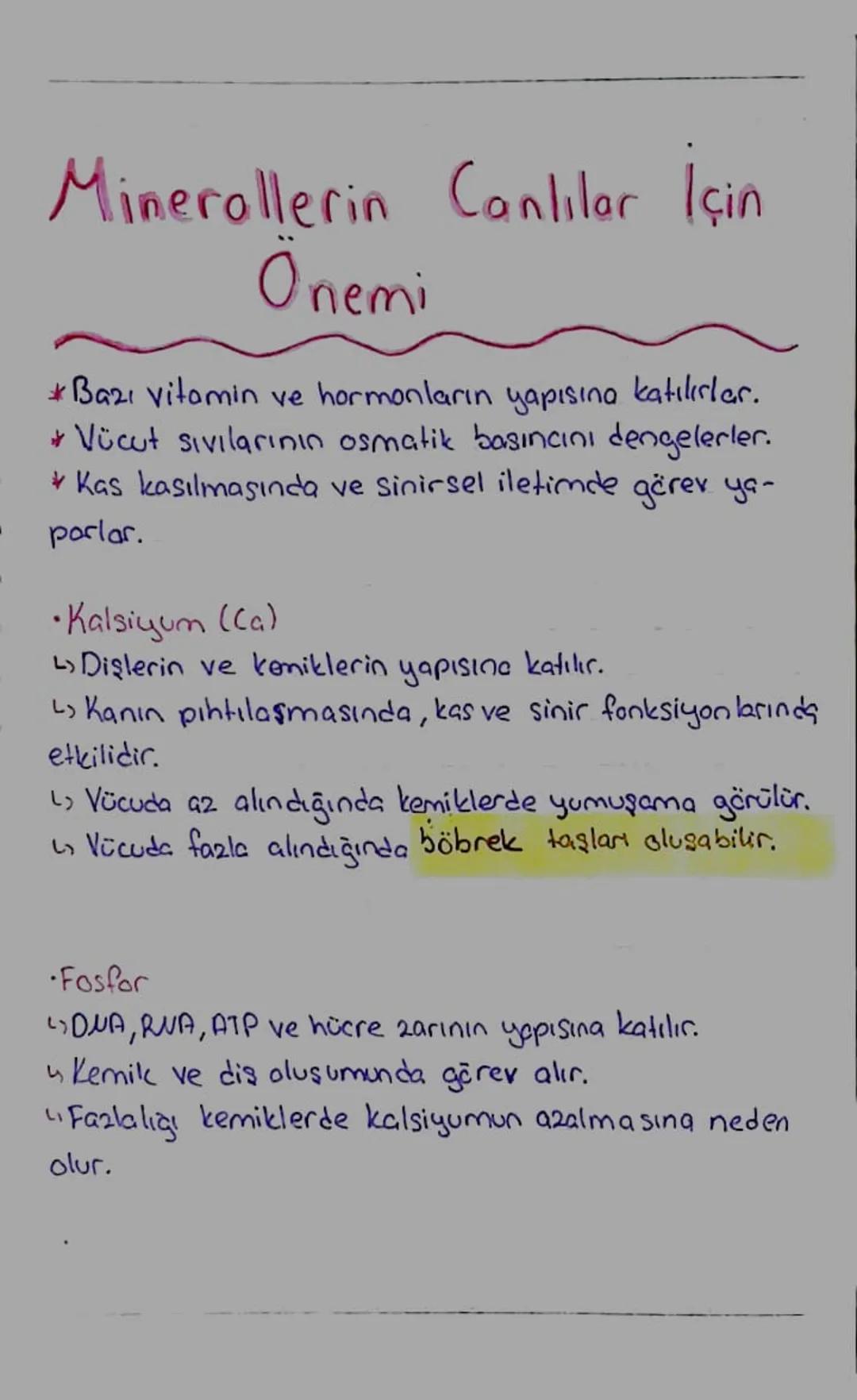 Minerallerin Canlılar İçin
Önemi
*Bazı vitamin ve hormonların yapısına katılırlar.
* Vücut sıvılarının osmatik basıncını dengelerler.
* Kas 