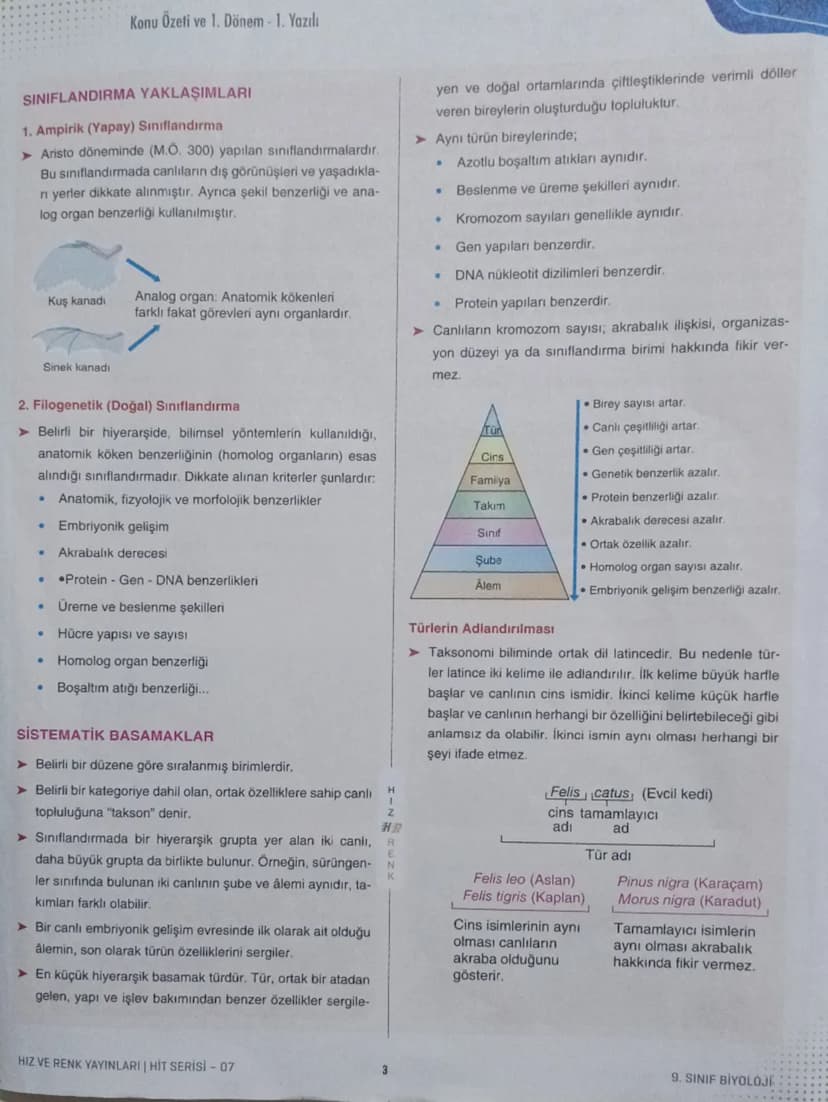 9.
Sınıf
BİYOLOJİ
Tema
Konu
Yaşam
Konu Özeti ve 1. Dönem 1.Yazılı
HR
HIT VE RENK
AUT
07
CANLILARIN ORTAK ÖZELLİKLERİ
1. Hücresel Yapı
➤ Canl