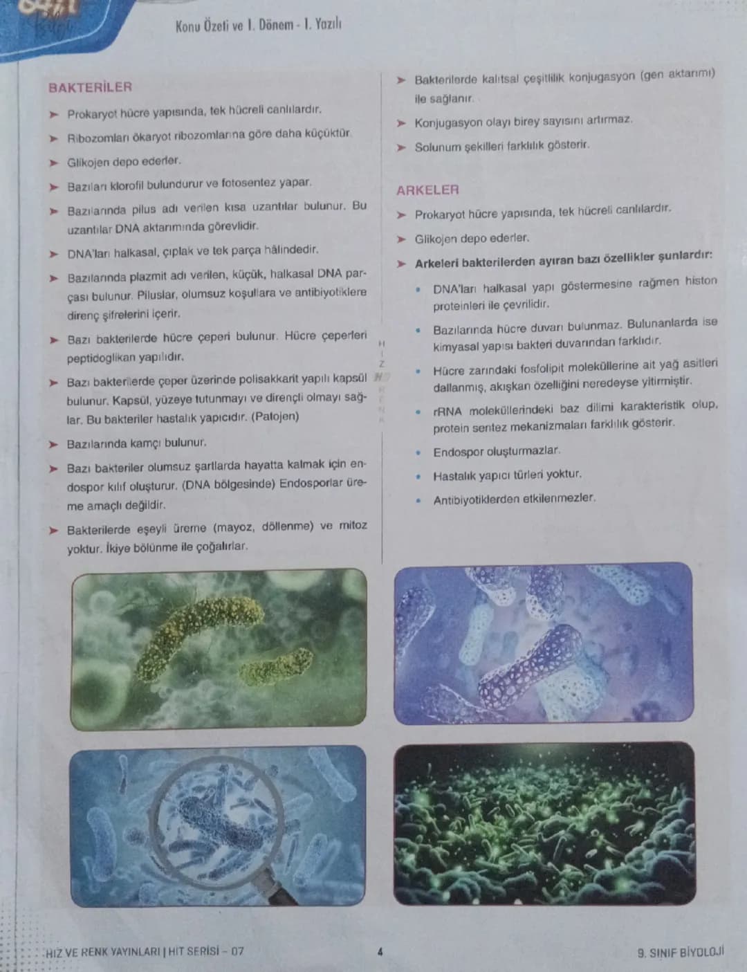 9.
Sınıf
BİYOLOJİ
Tema
Konu
Yaşam
Konu Özeti ve 1. Dönem 1.Yazılı
HR
HIT VE RENK
AUT
07
CANLILARIN ORTAK ÖZELLİKLERİ
1. Hücresel Yapı
➤ Canl