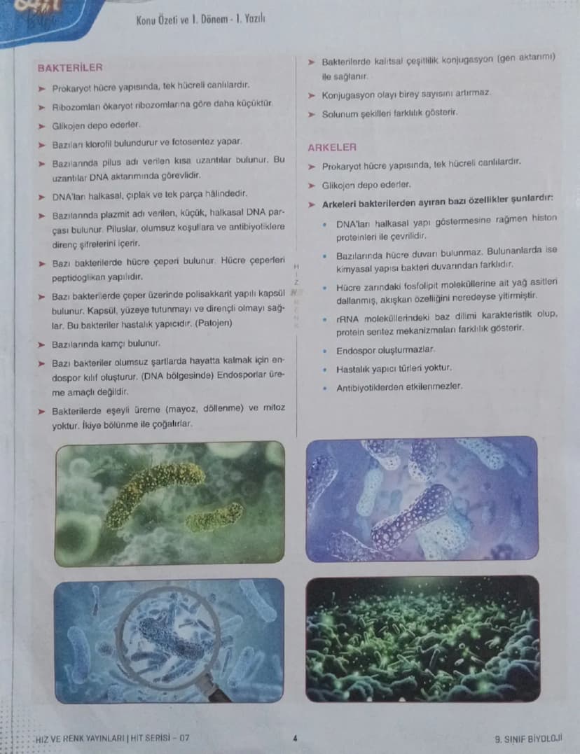 9.
Sınıf
BİYOLOJİ
Tema
Konu
Yaşam
Konu Özeti ve 1. Dönem 1.Yazılı
HR
HIT VE RENK
AUT
07
CANLILARIN ORTAK ÖZELLİKLERİ
1. Hücresel Yapı
➤ Canl