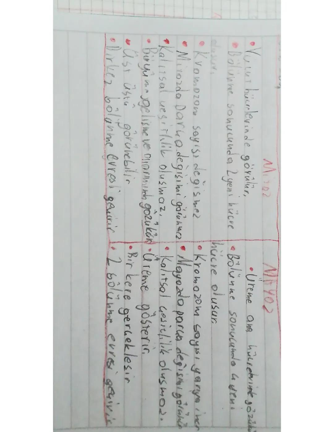 7. Sınıf Fen Bilimleri: Mitoz ve Mayoz Bölünme Özellikleri