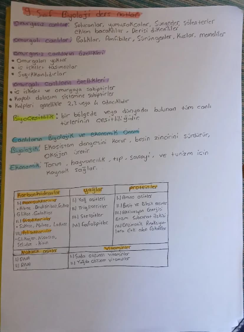 # 9. Sınıf Biyoloji ders notları

**Omurgasız canlılar:** Solcanlar, yumuşakçalar, Süngerler, sölenlerler
eklem bacaklılar, Derisi dikenlile
