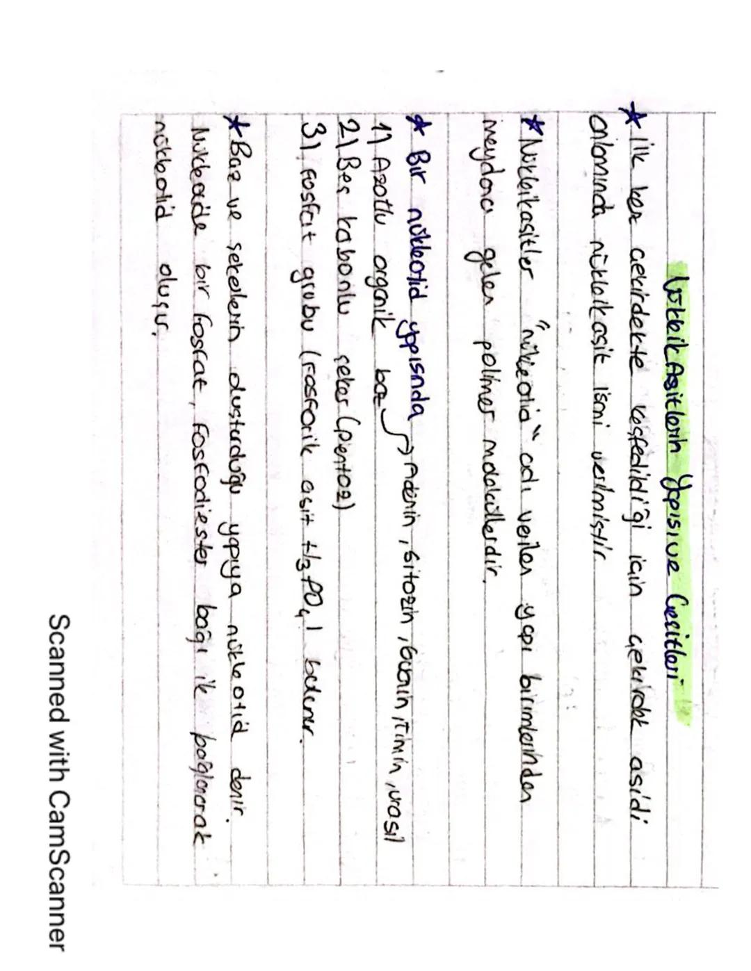 AYT Biyoloji Nükleik Asitlerin Yapısı