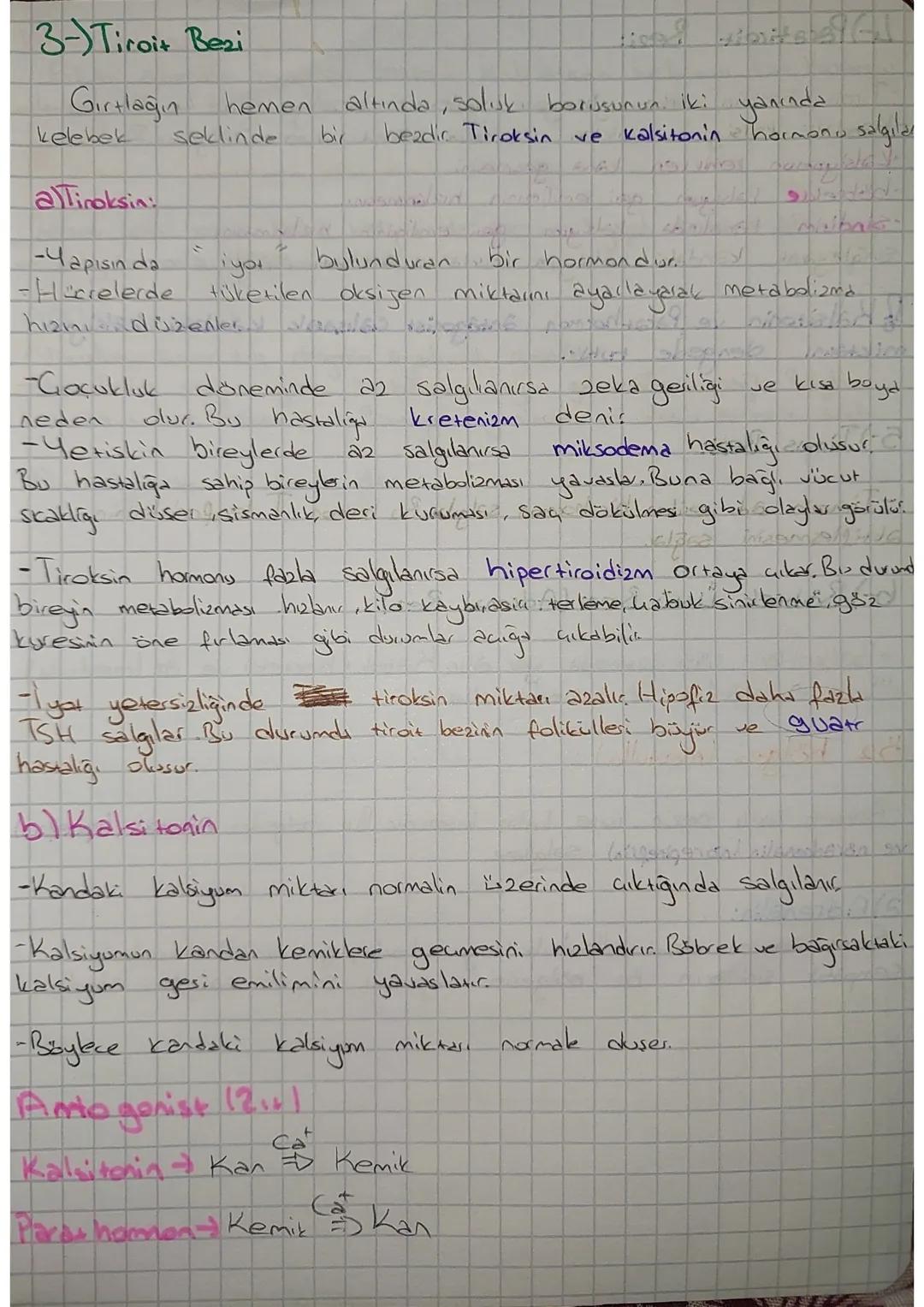 # Endokrin Sistem

- Vücutta salgı yapan bezler: endokrin, ekzokrin ve karma bez olmak üzere 3'e ayrılır.

* Salgını kanala verir. Stereoit 