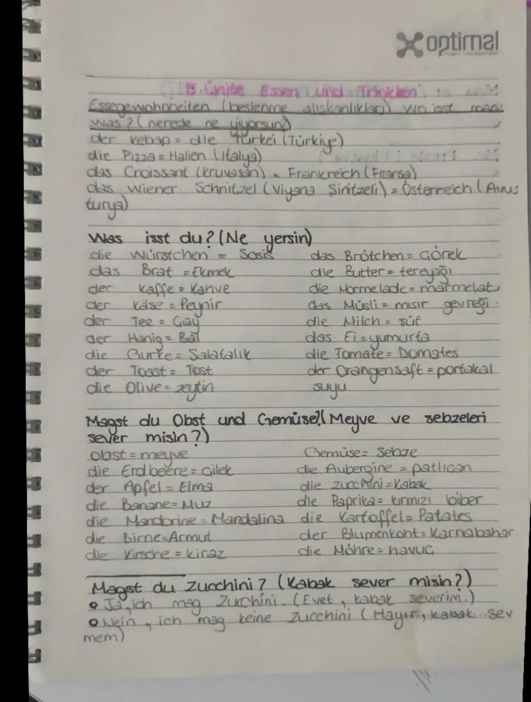 10.sınıf almanca 5.ünite 