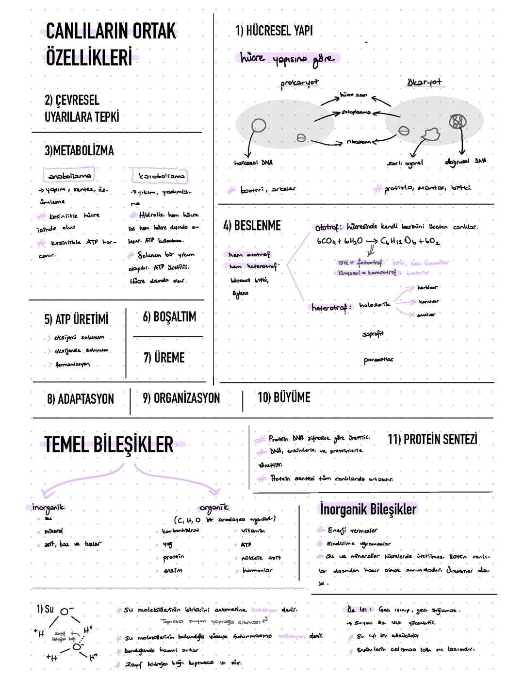 TYT Biyoloji Canlıların Ortak Özellikleri-Temel Bileşikler